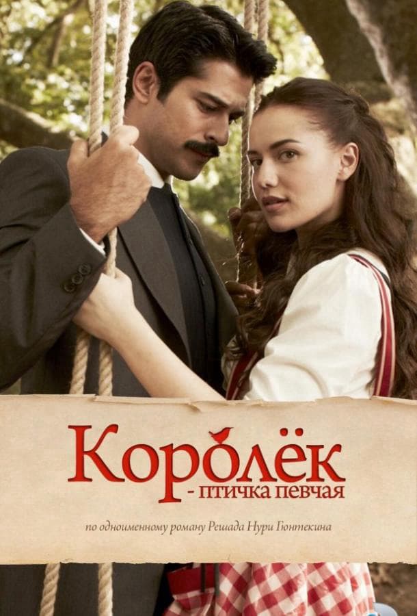 Королёк – птичка певчая / Çalıkuşu / 2013