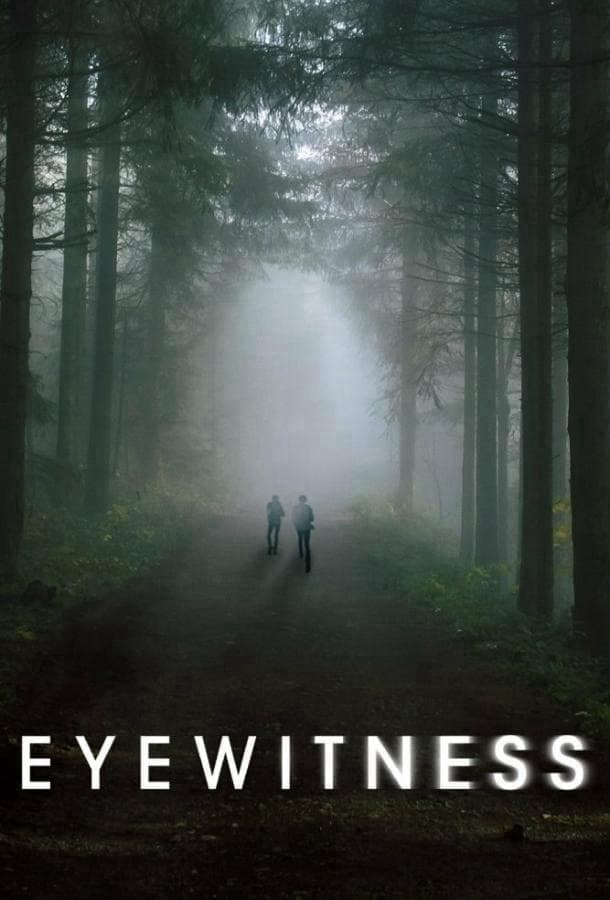 Свидетели / Eyewitness / США